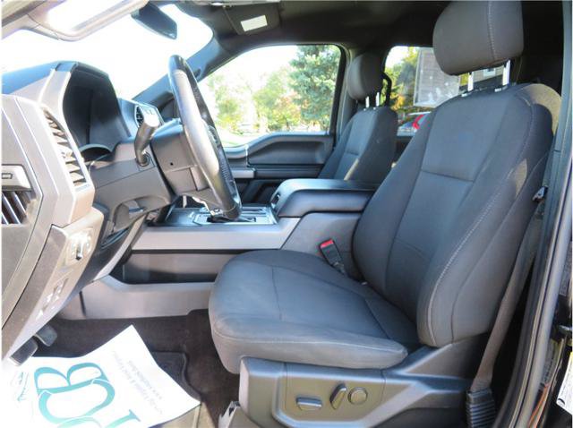 Used 2019 Ford F150 XLT w/ Equipment Group 302A Luxury AWD/4WD image 4