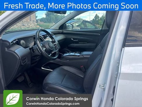 Used 2024 Hyundai Tucson Limited AWD/4WD image 12