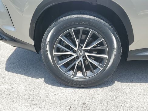 Certified 2024 Lexus NX 250 FWD w/ Cold Area Package image 7
