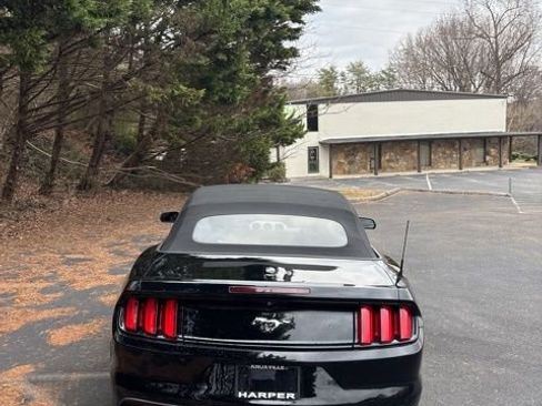 Used 2017 Ford Mustang Premium w/ Equipment Group 201A image 9