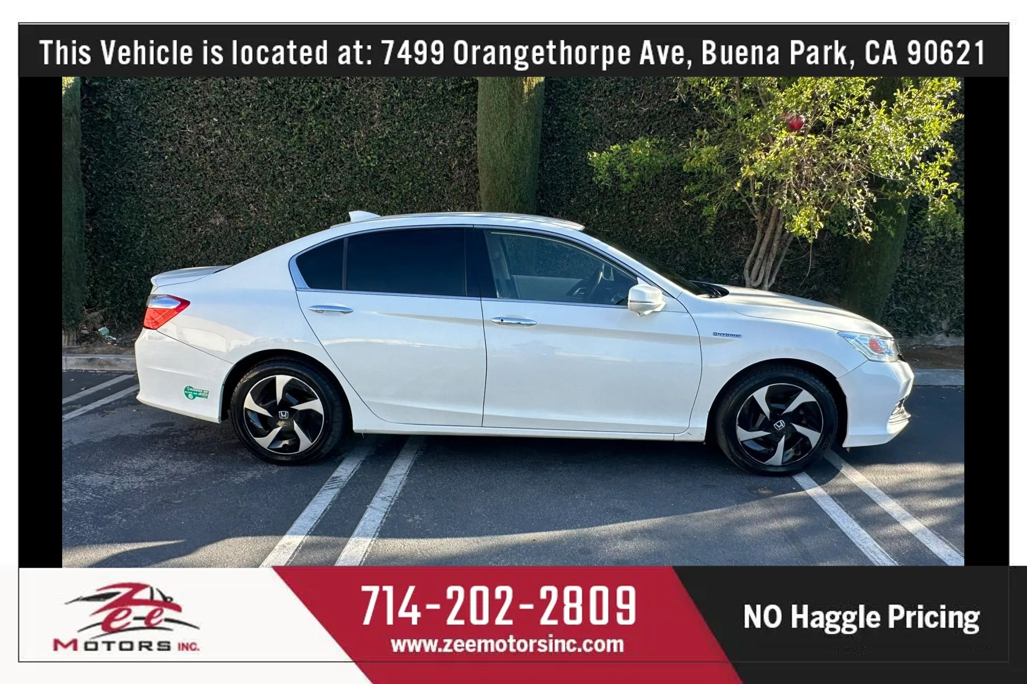 Used 2014 Honda Accord Plug-In Sedan image 5