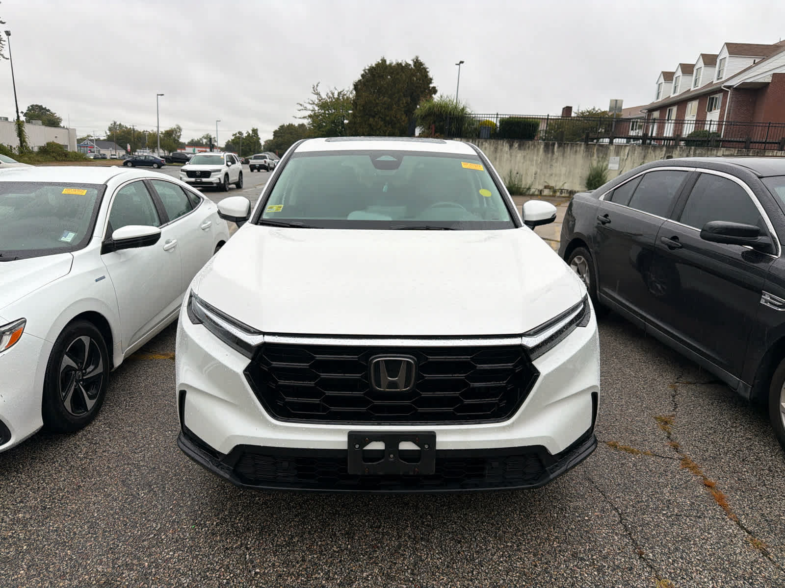Used 2025 Honda CR-V EX-L image 6