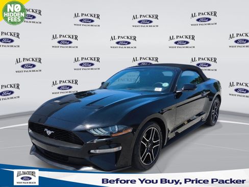 Used 2019 Ford Mustang Premium RWD image 1