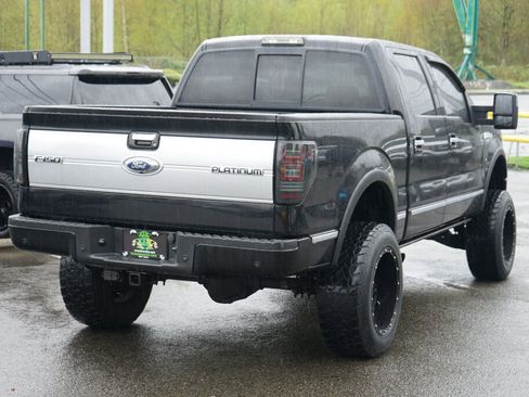 Used 2009 Ford F150 Platinum image 5