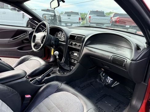 Used 2001 Ford Mustang Cobra RWD image 12