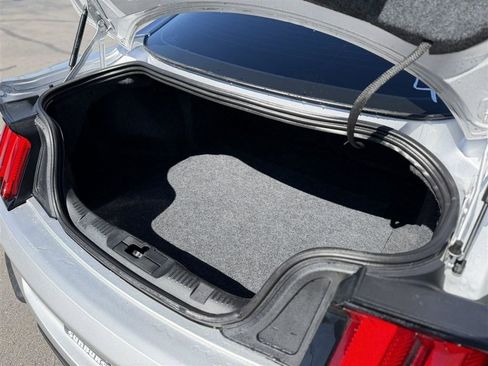 Used 2019 Ford Mustang GT Premium w/ Equipment Group 401A image 15