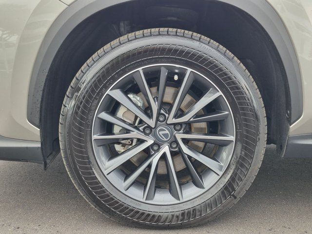 Certified 2026 Lexus NX 350 AWD w/ Cold Area Package image 23