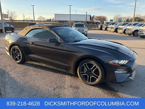 Used 2023 Ford Mustang Premium w/ Equipment Group 201A image 7