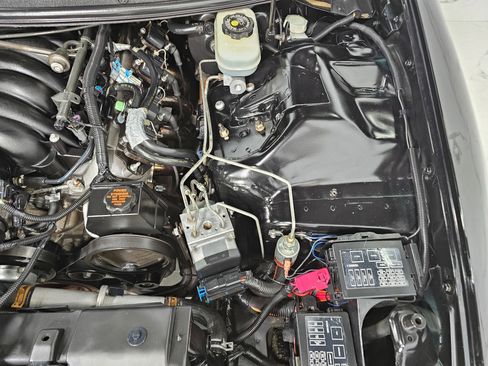 Used 1999 Chevrolet Camaro Z28 w/ SS Performance/Appearance Pkg image 17