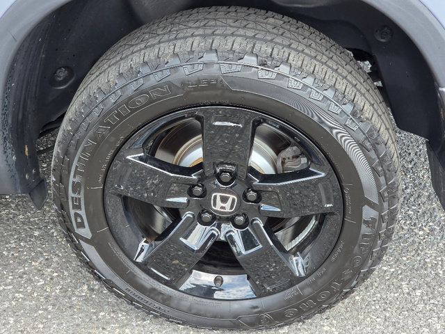Certified 2024 Honda Ridgeline Black Edition image 16