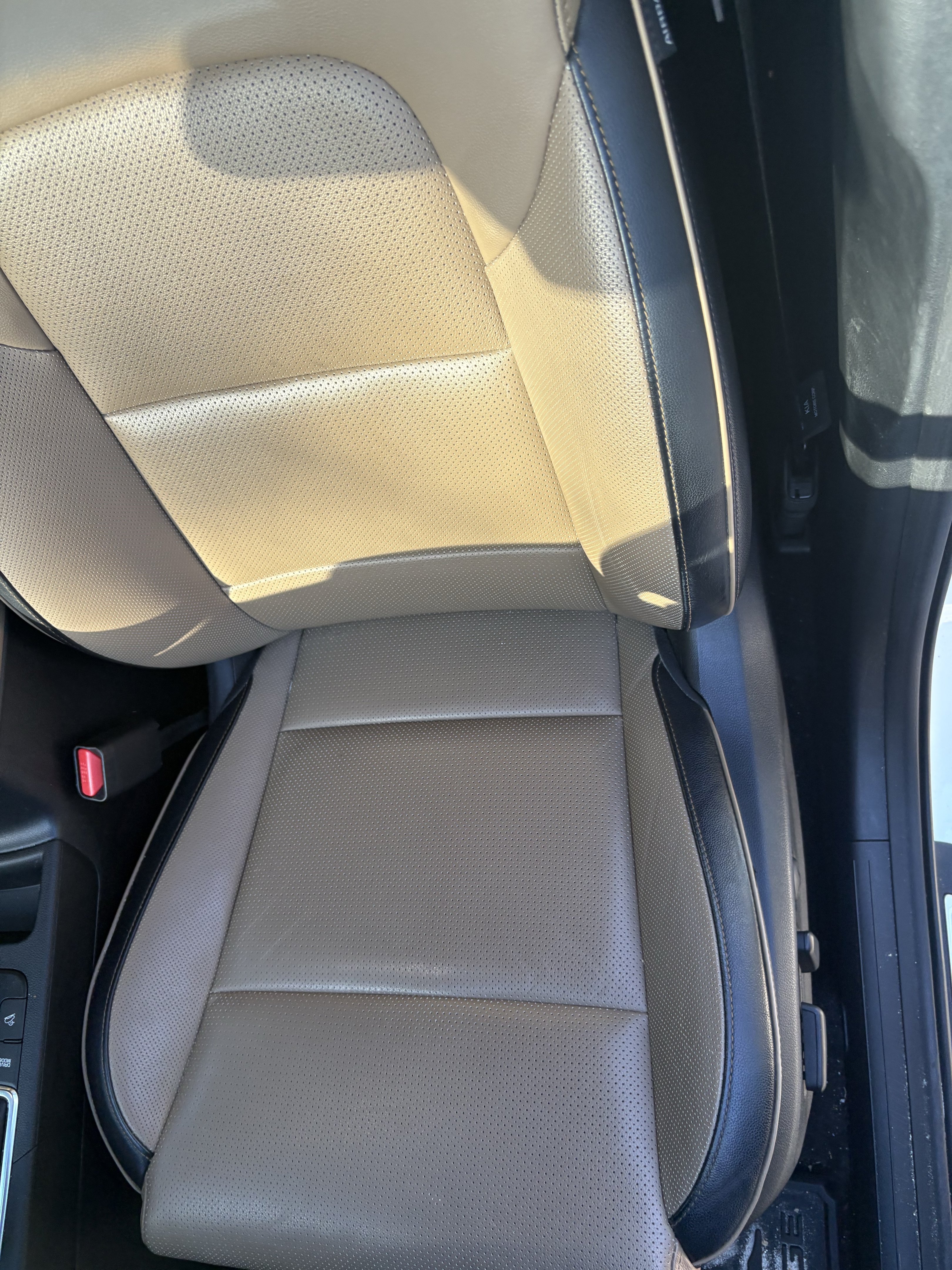 Used 2021 Kia Sportage SX FWD image 10
