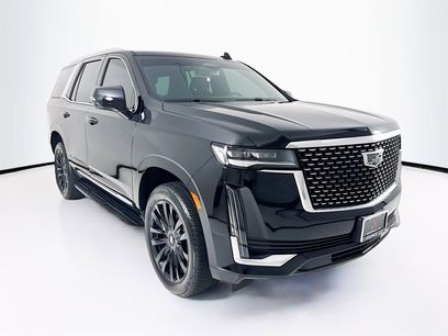 Used 2024 Cadillac Escalade Luxury