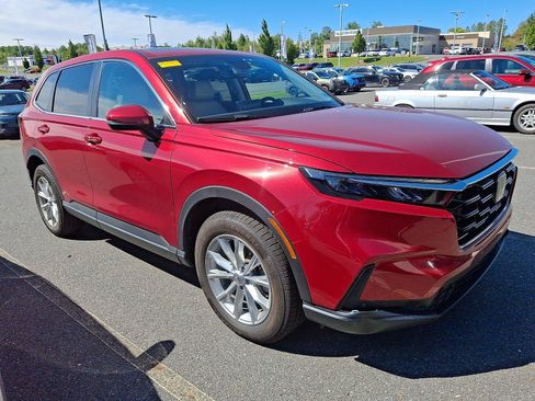 Used 2024 Honda CR-V EX-L image 1