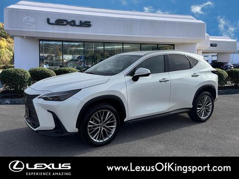 Used 2023 Lexus NX 350h AWD image 1