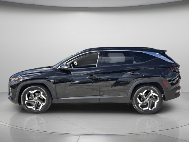 Used 2023 Hyundai Tucson Limited FWD image 3