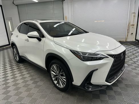 Used 2025 Lexus NX 350h AWD w/ Cold Area Package image 6