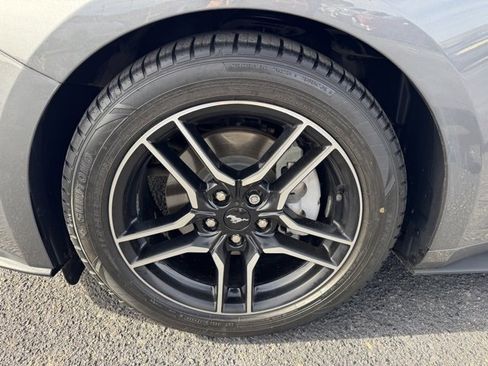 Used 2021 Ford Mustang Premium image 12