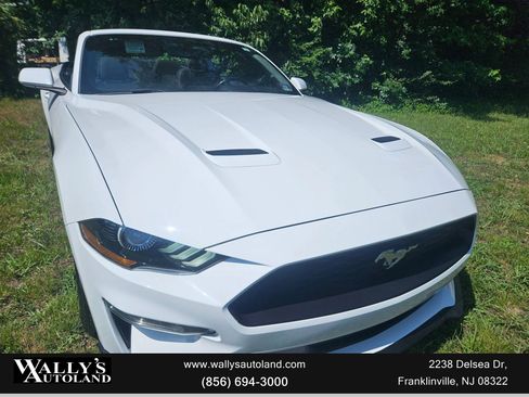 Used 2019 Ford Mustang Convertible image 3