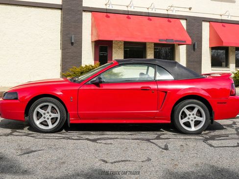 Used 1999 Ford Mustang Cobra image 22
