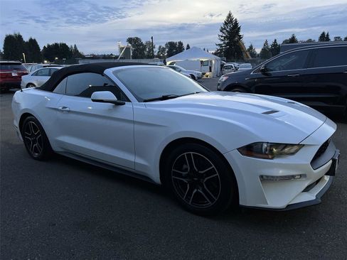 Used 2019 Ford Mustang Premium image 7