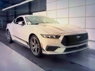 Used 2024 Ford Mustang Premium w/ Wheel & Stripe Package