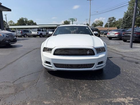 Used 2014 Ford Mustang Premium w/ Equipment Group 203A RWD image 4