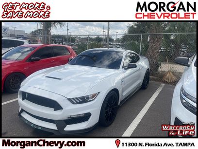 Used 2018 Ford Mustang Shelby GT350 w/ Convenience Package