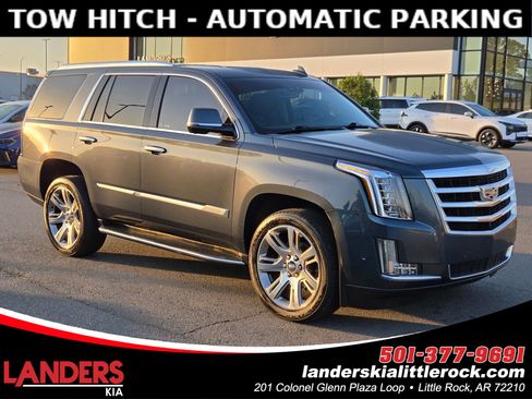 Used 2019 Cadillac Escalade Luxury image 1
