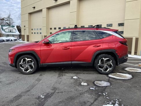 Used 2023 Hyundai Tucson Limited image 4