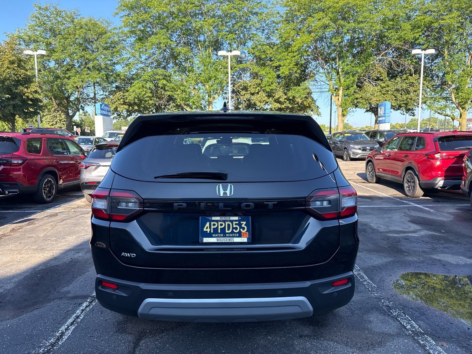 Used 2025 Honda Pilot EX-L image 6