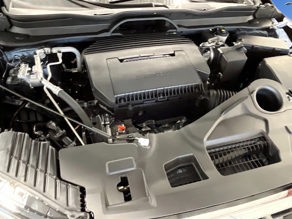 New 2026 Honda Pilot Elite image 13