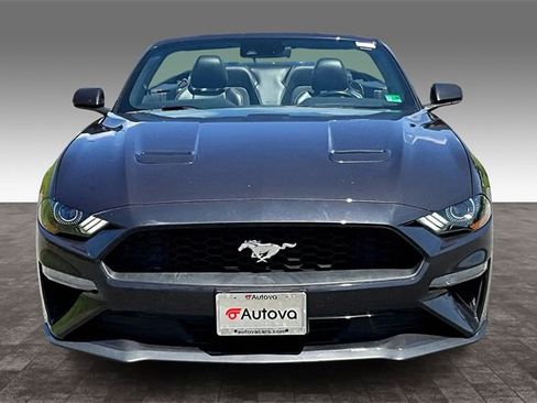 Used 2023 Ford Mustang Premium image 2