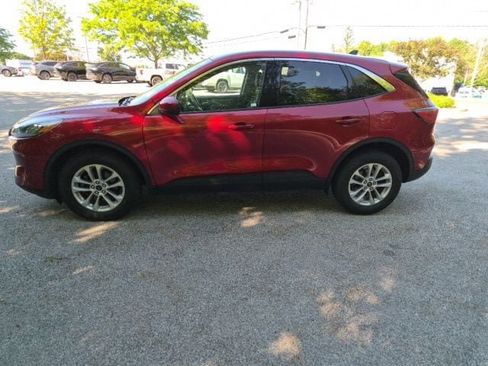 Used 2025 Ford Escape ST-Line Select AWD/4WD image 1