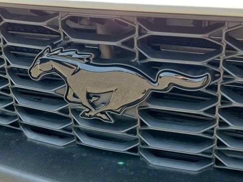 New 2026 Ford Mustang Premium w/ Mustang Nite Pony Package RWD image 8