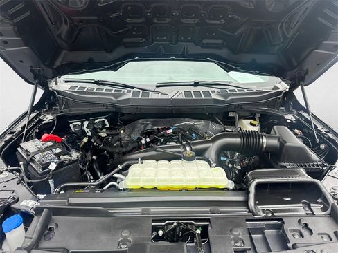 Used 2025 Ford F150 XLT w/ Equipment Group 301A Standard image 14