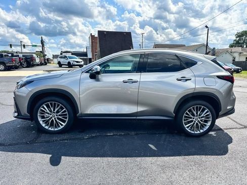 Used 2025 Lexus NX 350h AWD w/ Cold Area Package image 4