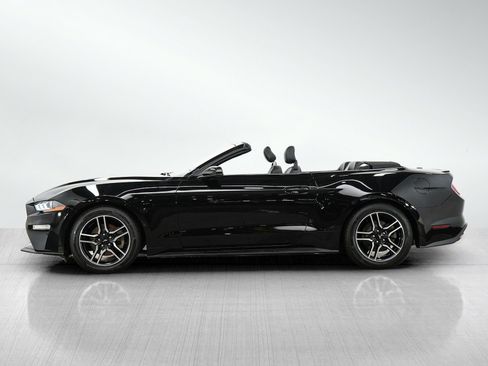 Used 2018 Ford Mustang Premium w/ Equipment Group 201A RWD image 2