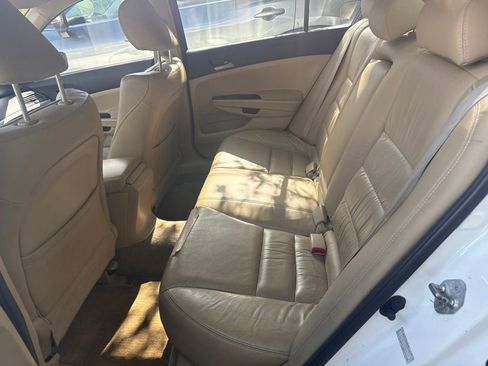 Used 2011 Honda Accord SE image 6
