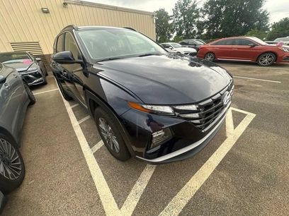 Certified 2023 Hyundai Tucson Blue