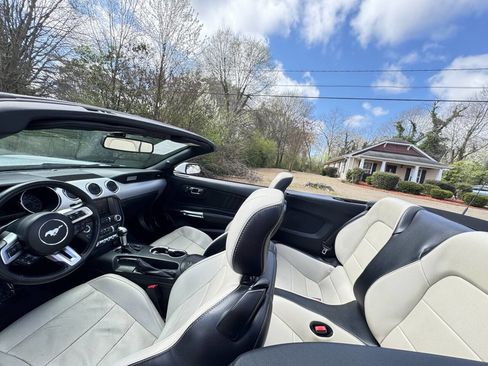 Used 2015 Ford Mustang Premium image 16