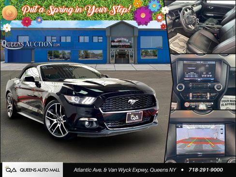 Used 2015 Ford Mustang Premium w/ Equipment Group 201A RWD image 1
