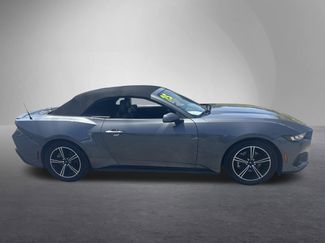Used 2025 Ford Mustang Premium RWD video 3