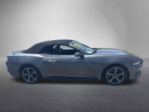 Used 2025 Ford Mustang Premium RWD image 3