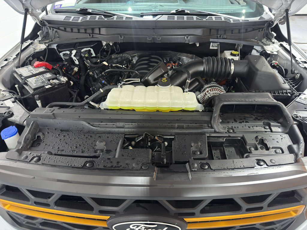Used 2025 Ford F150 Tremor AWD/4WD image 35