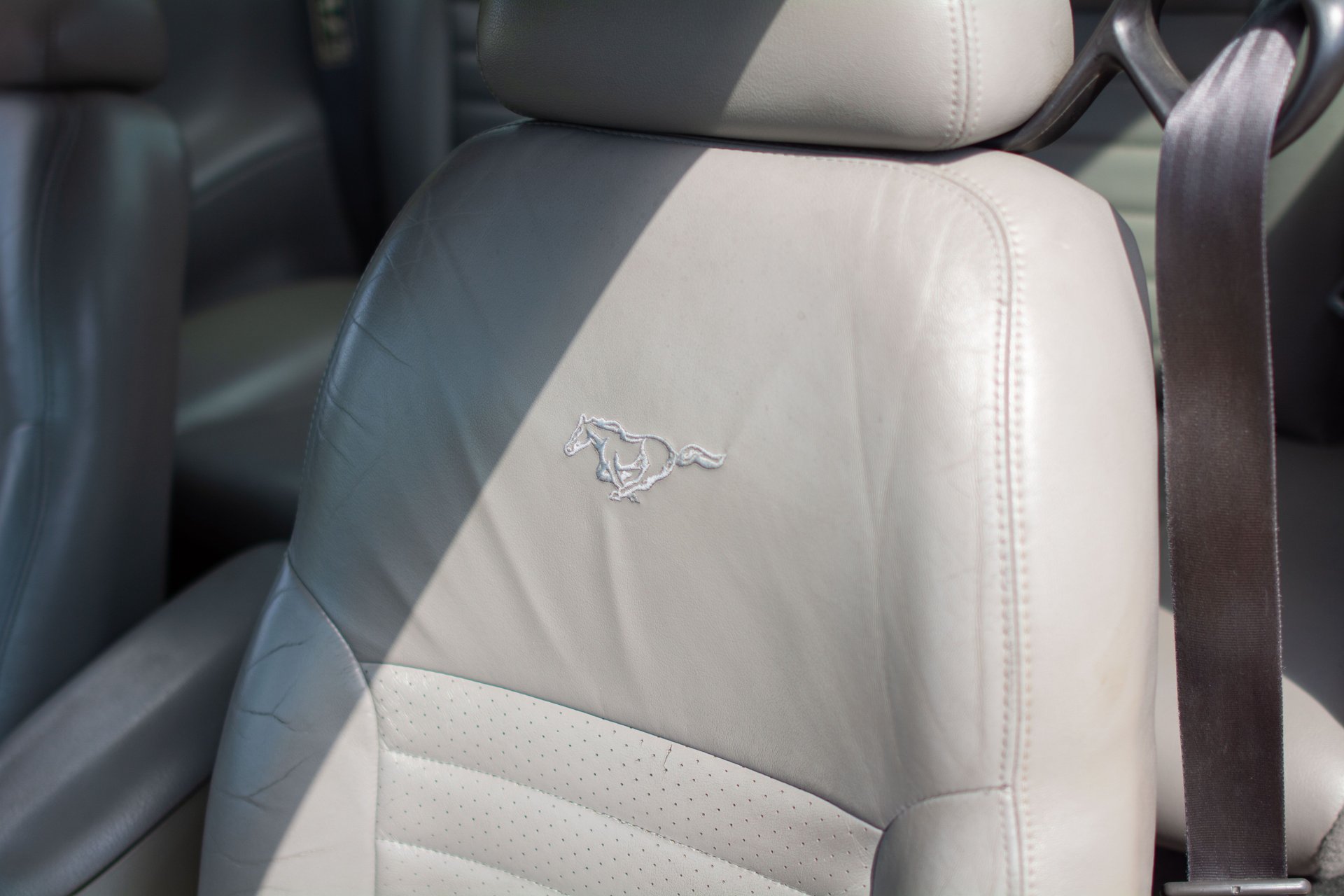 Used 2001 Ford Mustang GT RWD image 28