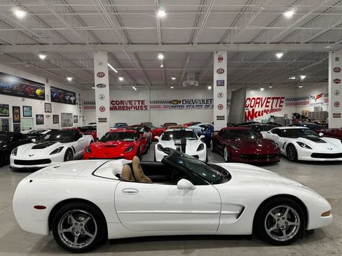 Used 2004 Chevrolet Corvette Convertible w/ Preferred Equipment Group RWD image 6