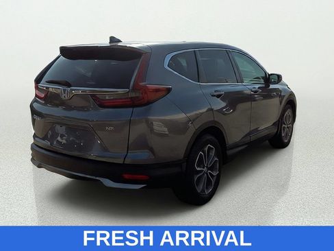 Used 2020 Honda CR-V EX-L image 7