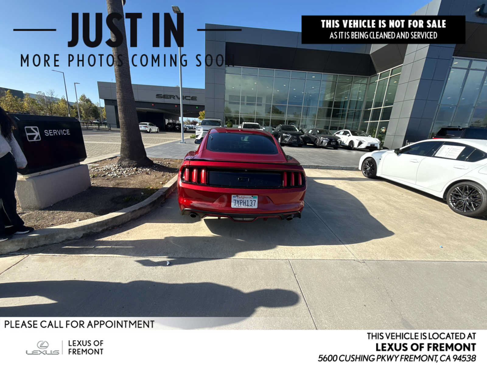 Used 2017 Ford Mustang GT Premium w/ Black Accent Package RWD image 1