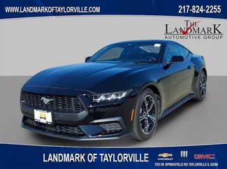 Used 2024 Ford Mustang Premium RWD video 1