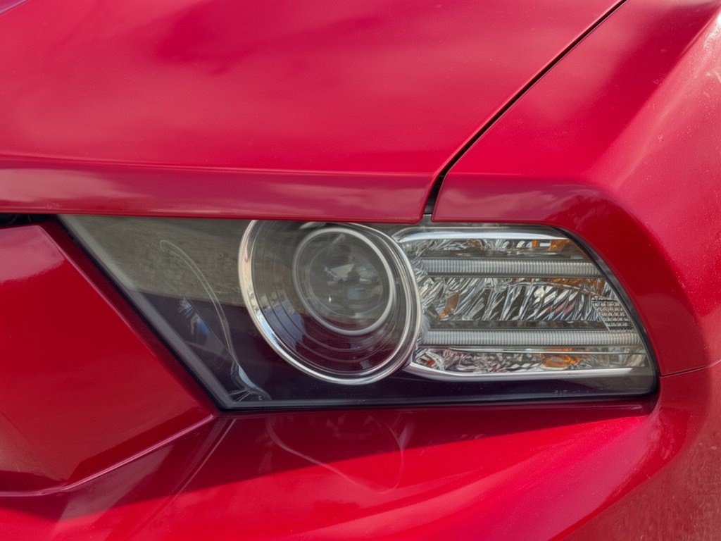 Used 2014 Ford Mustang Premium w/ Equipment Group 202A RWD image 12